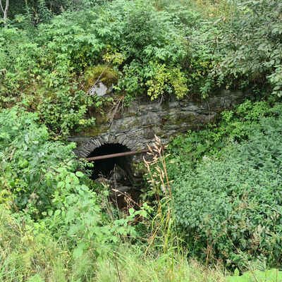 Myrinsbrua bygd 1875 foto Svein Olav Meistad